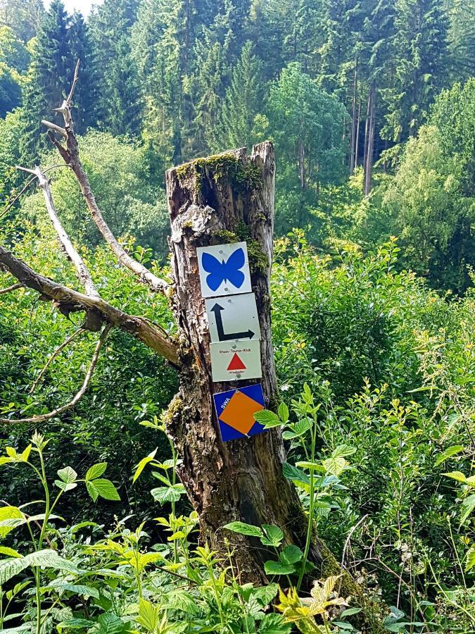 Ferienwohnung Jansen "Eins" Bad Schwalbach Exteriör bild