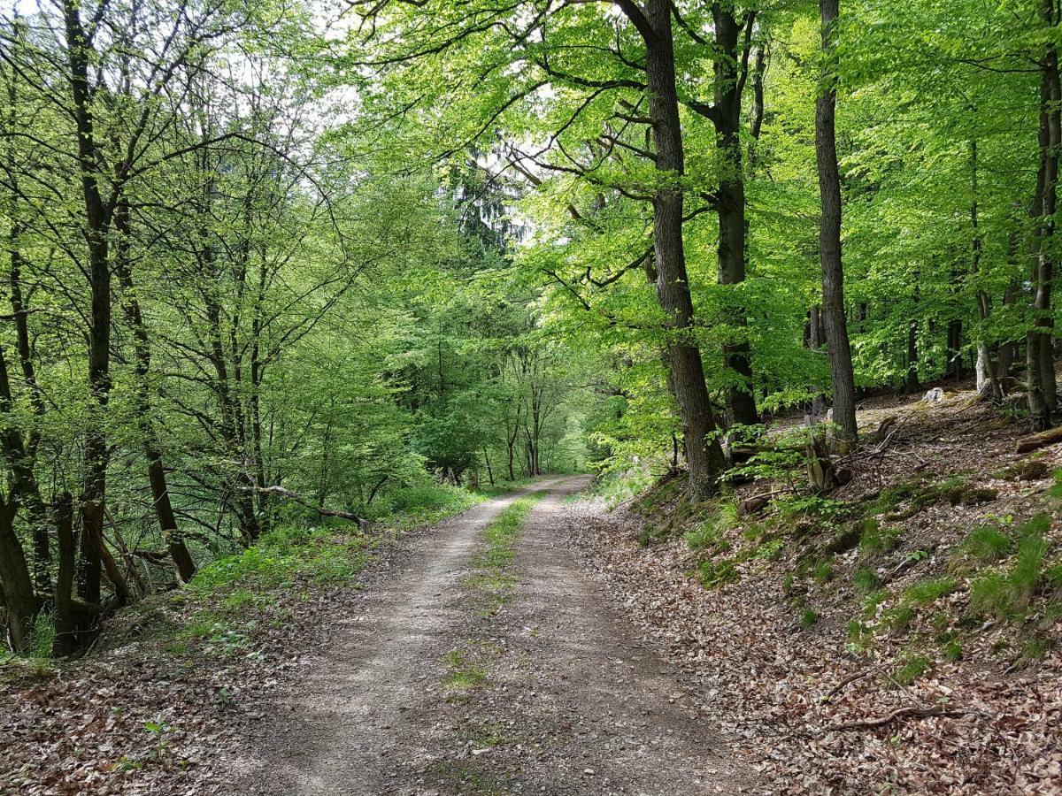 Ferienwohnung Jansen "Eins" Bad Schwalbach Exteriör bild